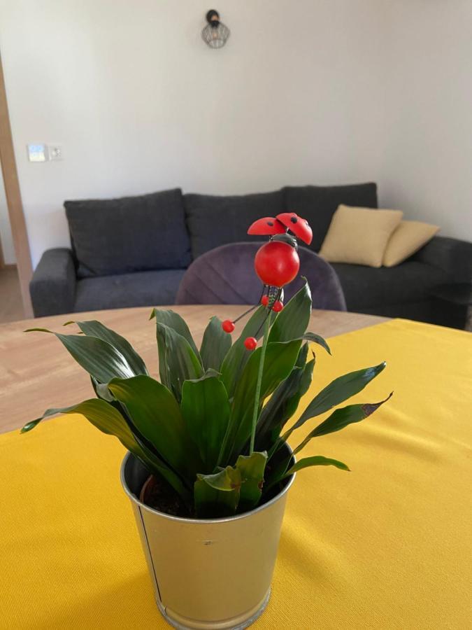 New Apartments Teravila Rateče エクステリア 写真