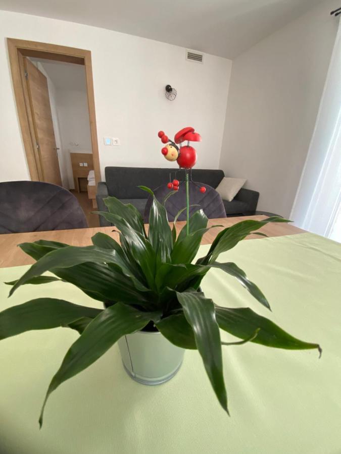 New Apartments Teravila Rateče エクステリア 写真